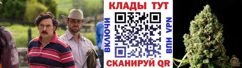 А ПВП Дубовка