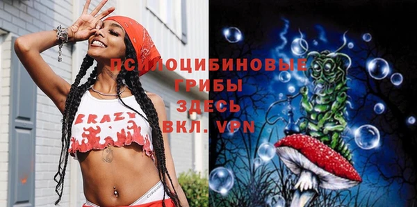 круглые Дмитриев