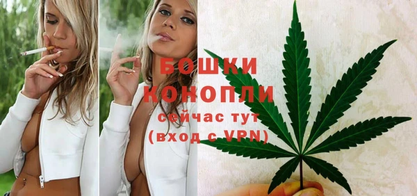 каннабис Дмитров