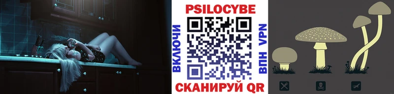 Псилоцибиновые грибы ЛСД  Купить где  Дубовка 